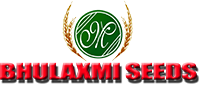 Bhulaxmi Seeds